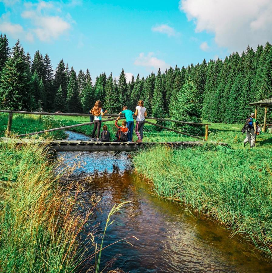 Apt In The Sky - Kopaonik Kraljevi Cardaci Lejlighed Eksteriør billede