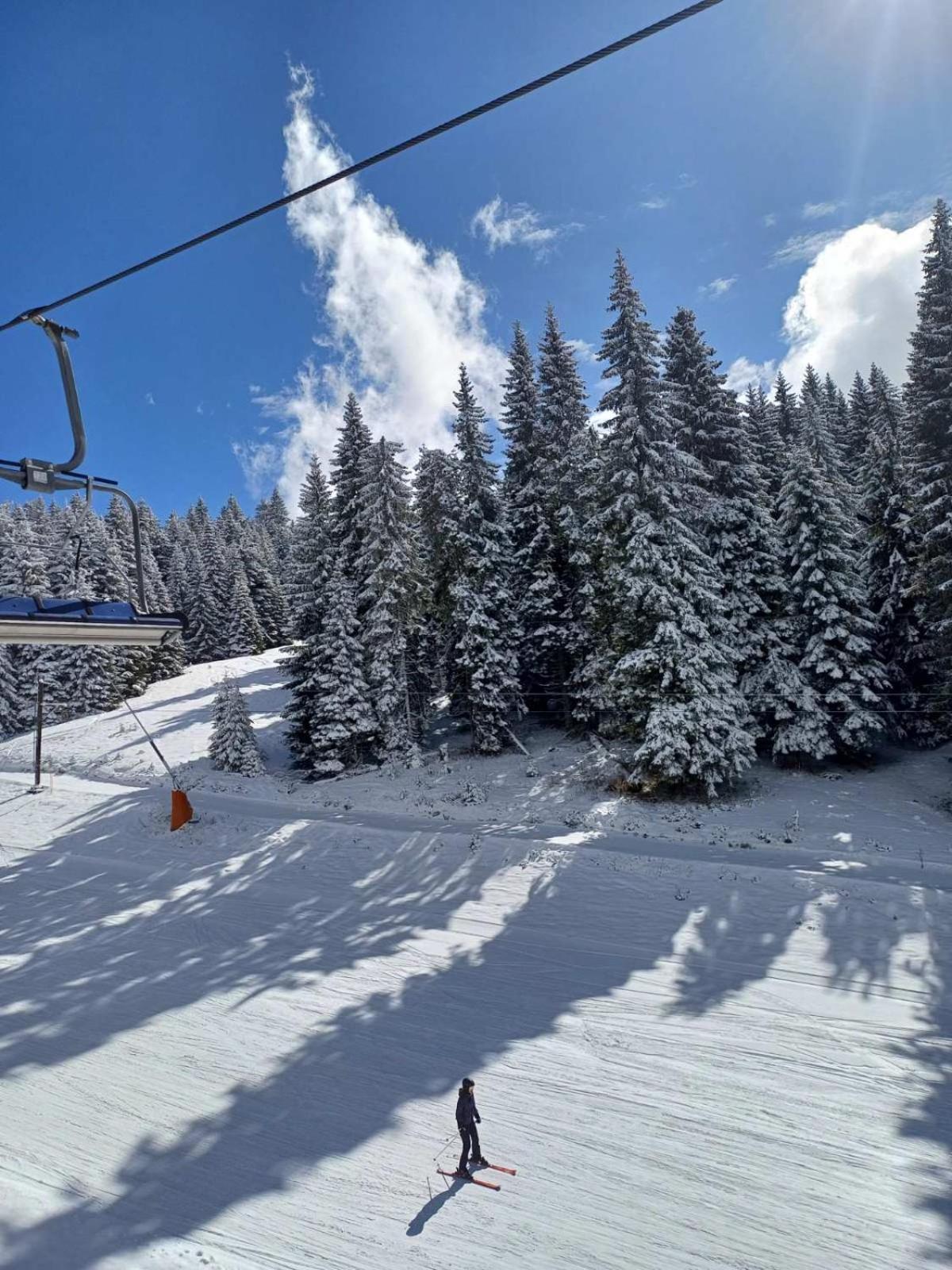 Apt In The Sky - Kopaonik Kraljevi Cardaci Lejlighed Eksteriør billede